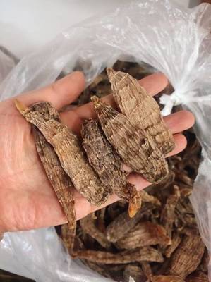 長白山野生干天麻