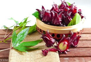 哪些中藥能吃,哪些不能吃,這份最全的清單值得收藏