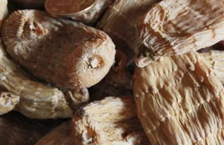 天麻泡水后食用天麻,天麻味道苦算正常么