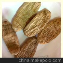 天麻品種及其花朵特征